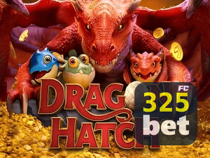 325BET PIX instantâneo Brasil - Depósito e saque em minutos 24/7
